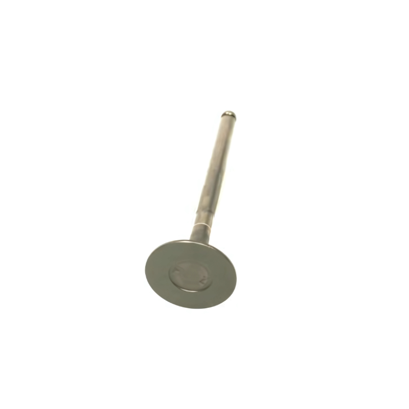 Toyota Land Cruiser Exhaust Valve